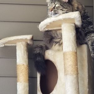 Meet your Posher, Robin